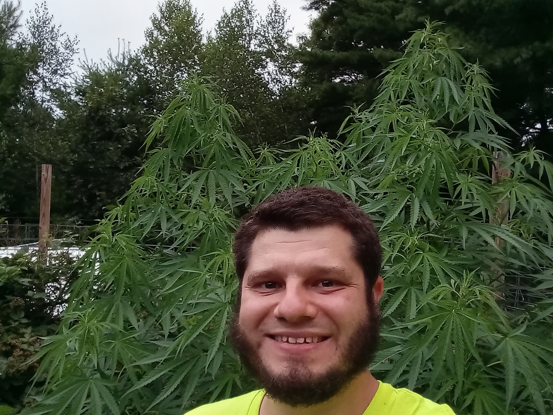 Homegrown and Homemade logo