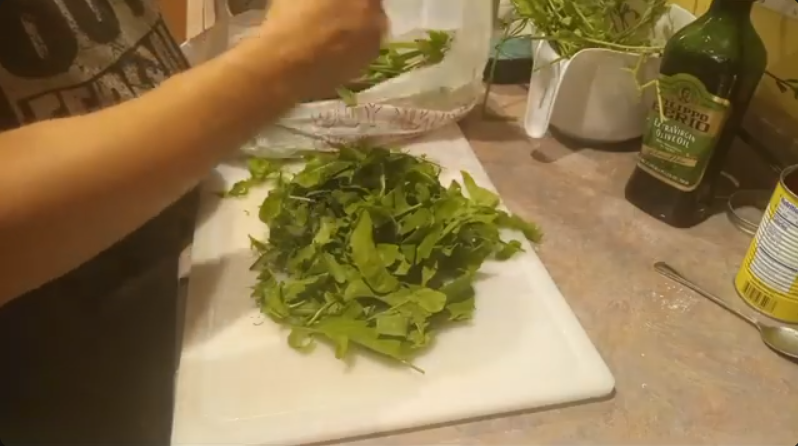 Showing off the arugula harvest